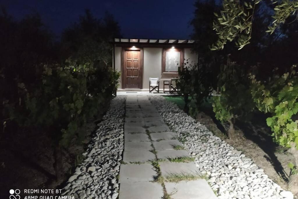 Raisin House Villa Koukounaria Ngoại thất bức ảnh